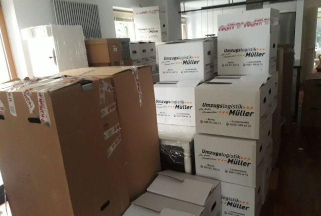 Labor Umzug preise erfahren in Geithain